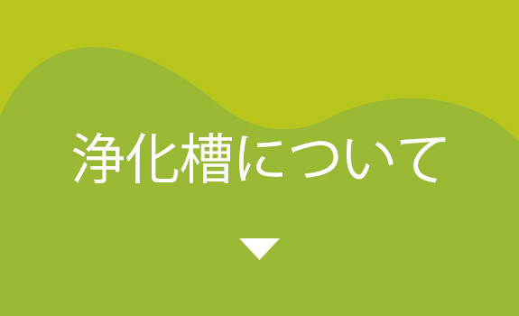 浄化槽について